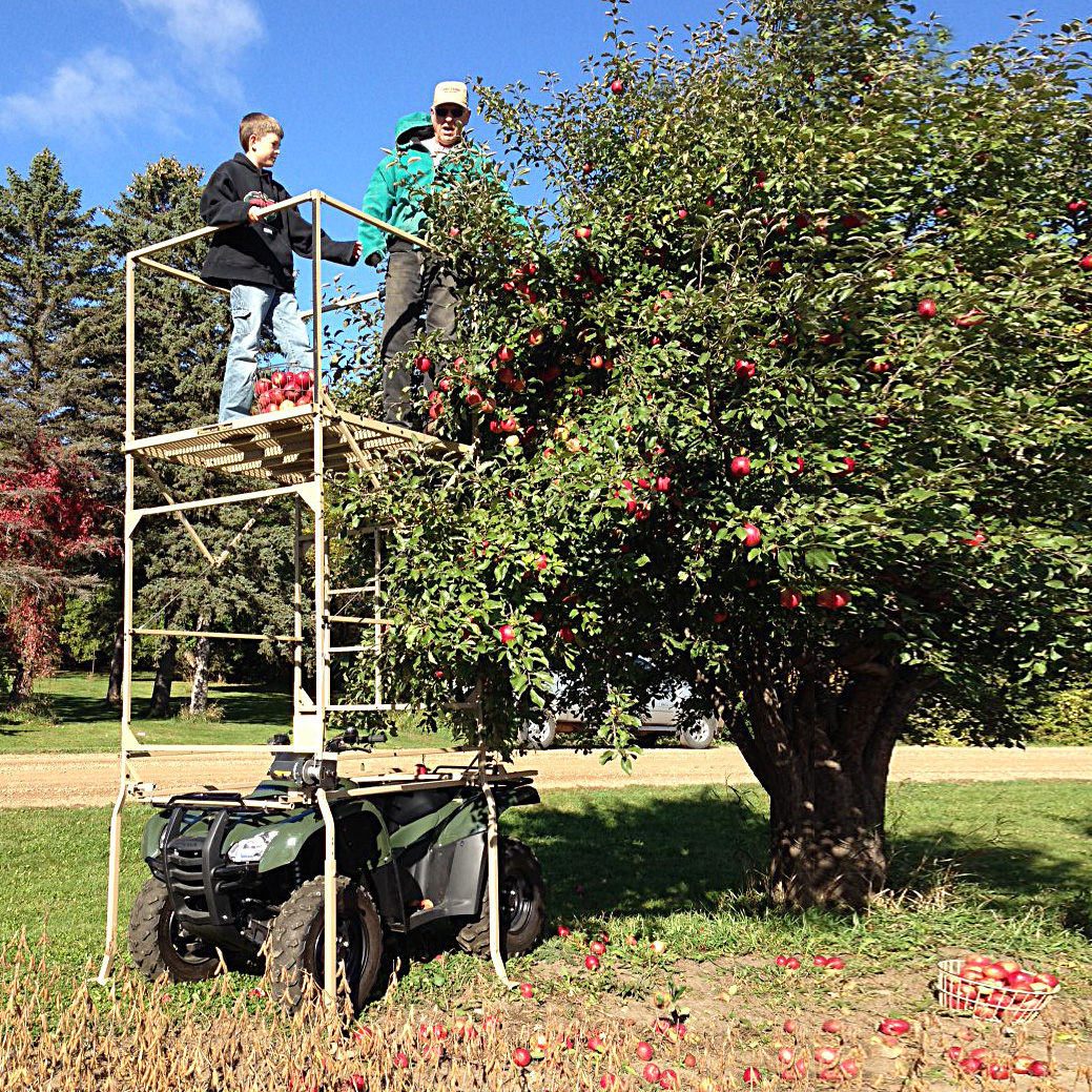TT Apple Tree IMG_1789 2